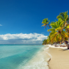 caribe-playa-palmeras2
