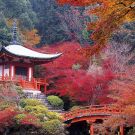 Japon_templo-en-otoño